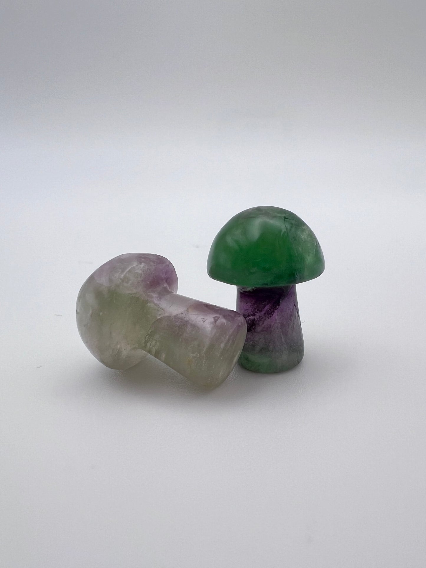 Fluorit Pilz