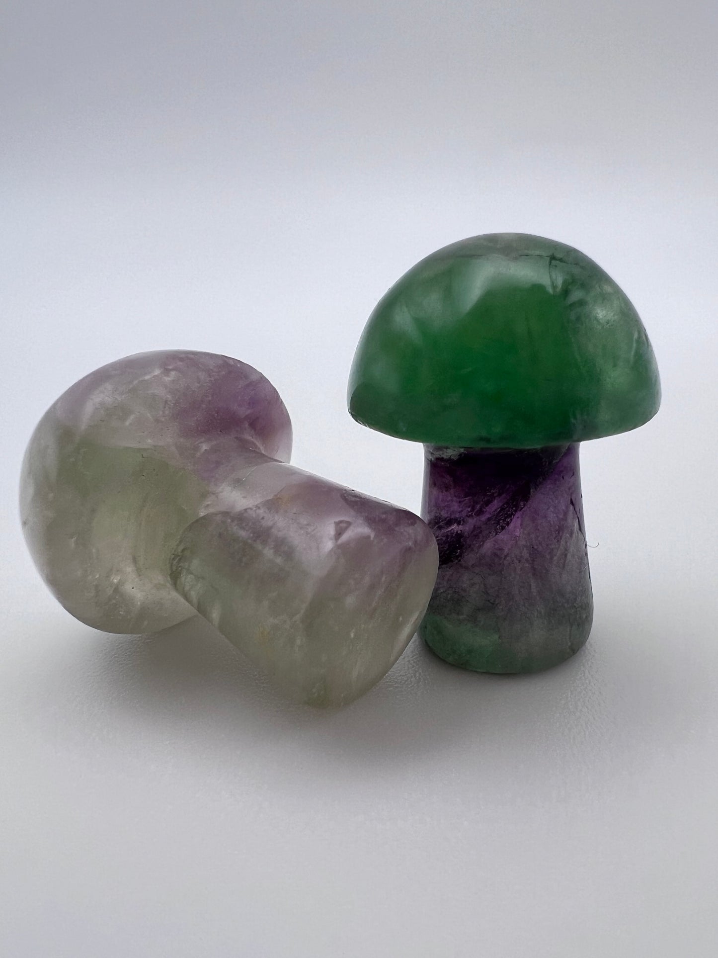 Fluorit Pilz