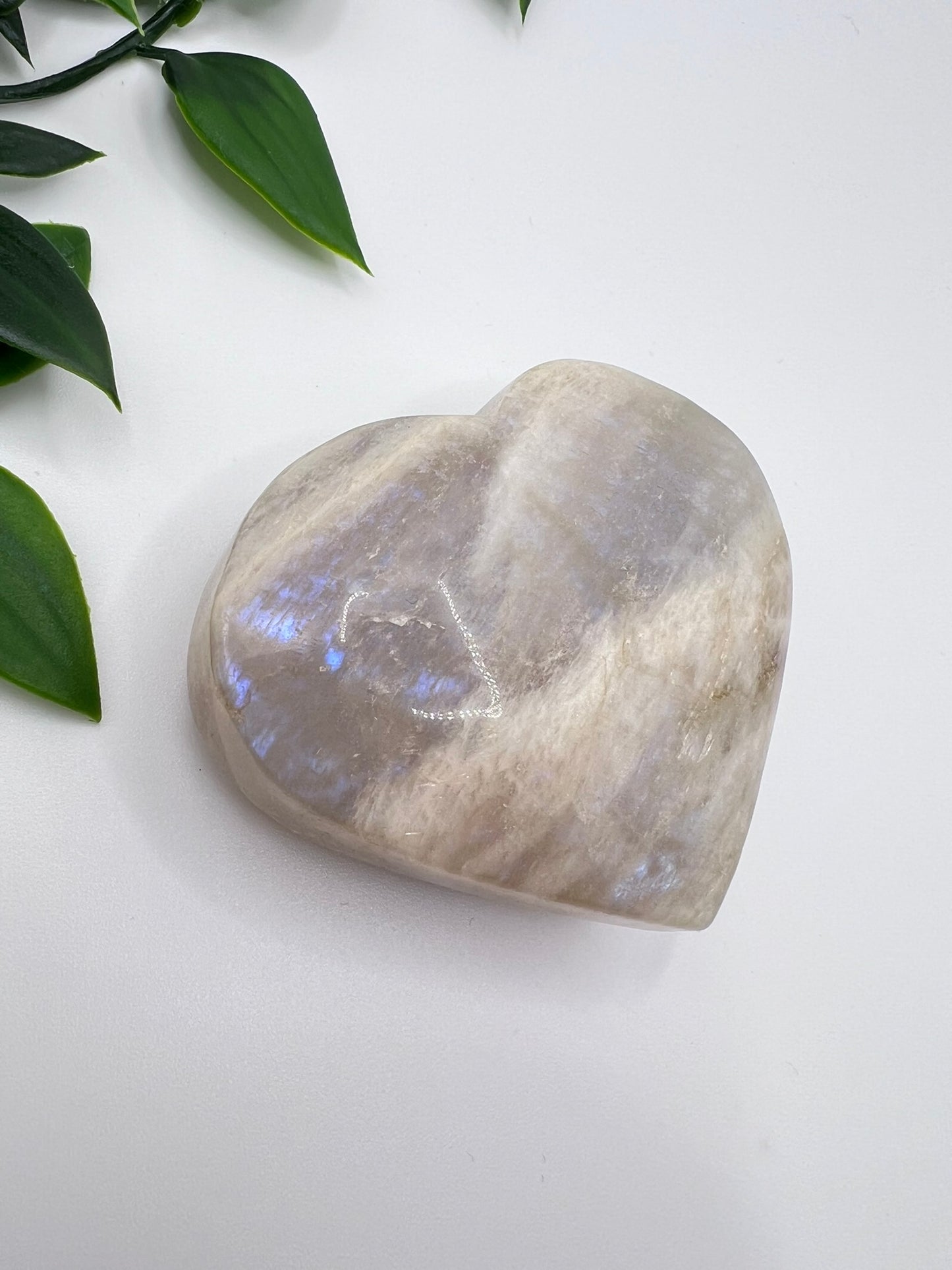 Mondstein mit gigantischem Blue Flash – ca. 6,5 cm – Magie in Bewegung