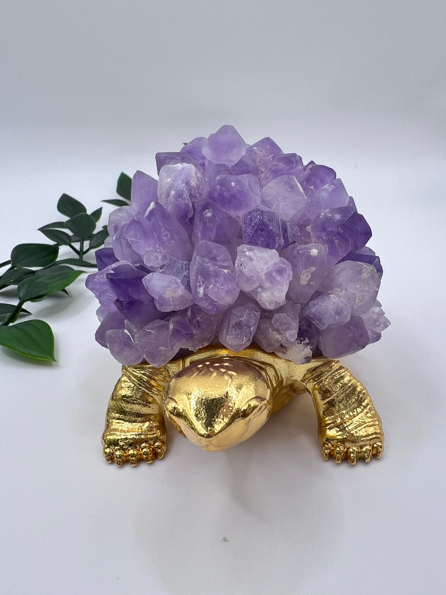 Amethyst Schildkröte