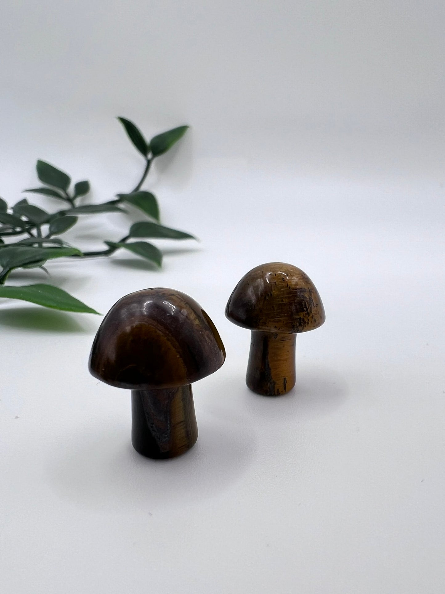 Tigerauge Pilz – ca. 20 mm, natürlicher Edelstein, schützend & erdend