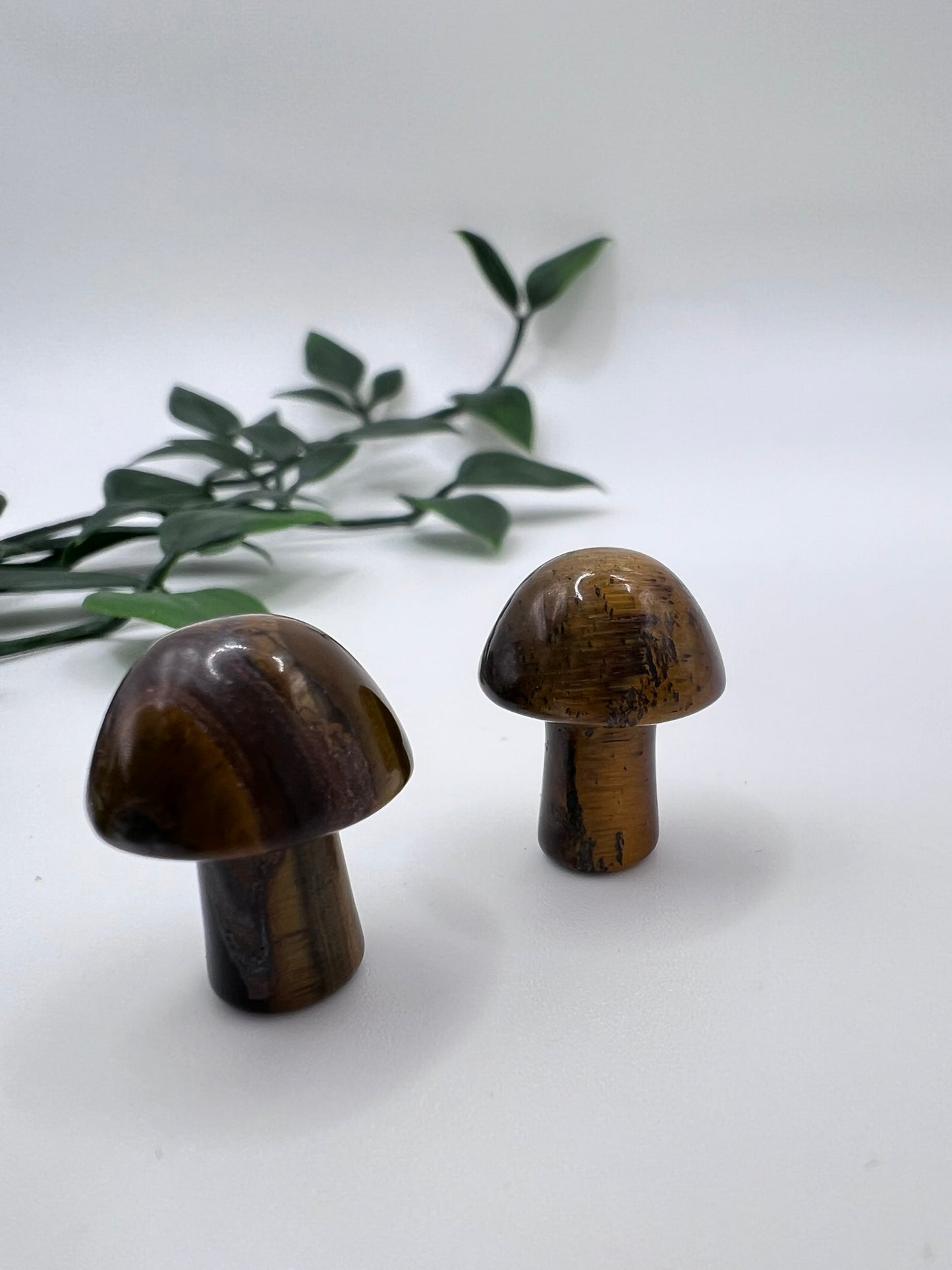 Tigerauge Pilz – ca. 20 mm, natürlicher Edelstein, schützend & erdend