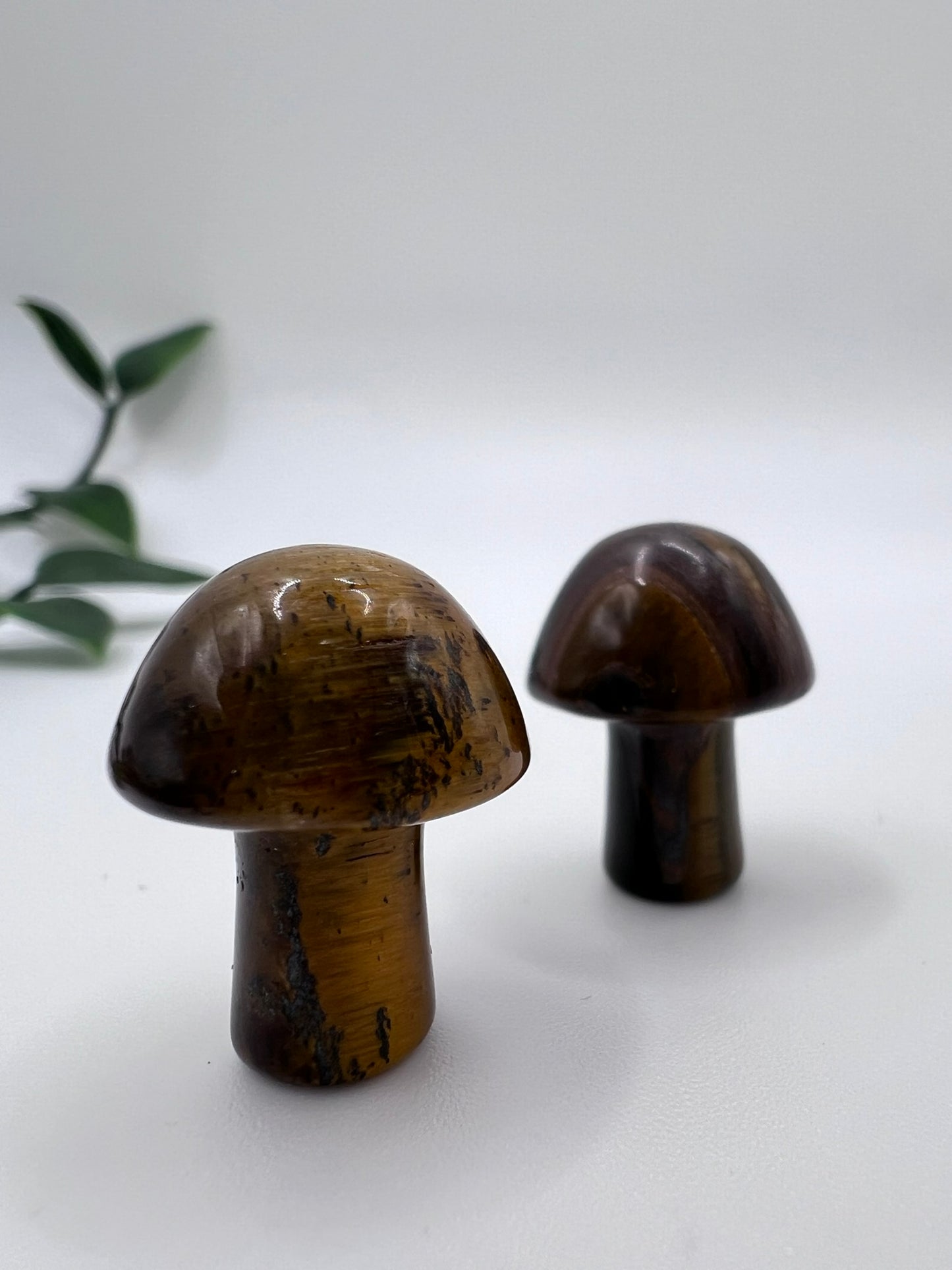 Tigerauge Pilz – ca. 20 mm, natürlicher Edelstein, schützend & erdend