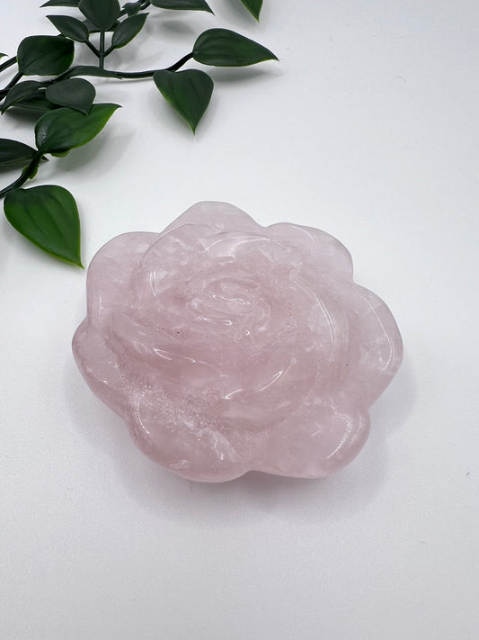 Rosenquarz Rosenkopf – ca. 6,5 cm – Handgeschliffene Blüte der Liebe