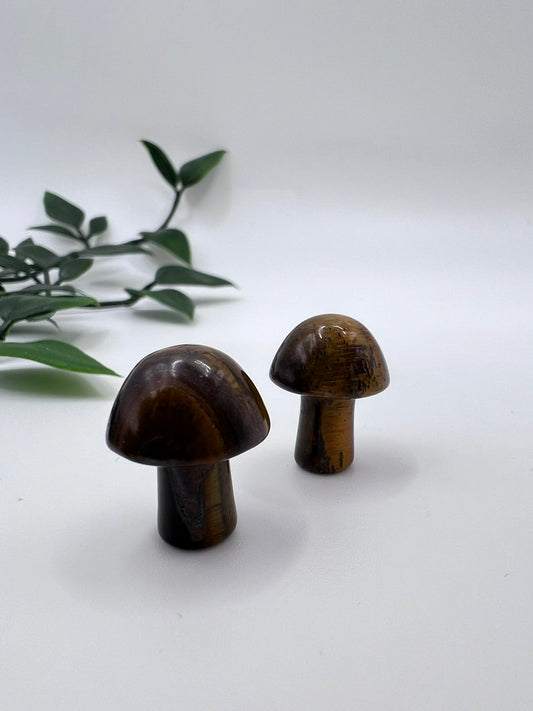 Tigerauge Pilz – ca. 20 mm, natürlicher Edelstein, schützend & erdend